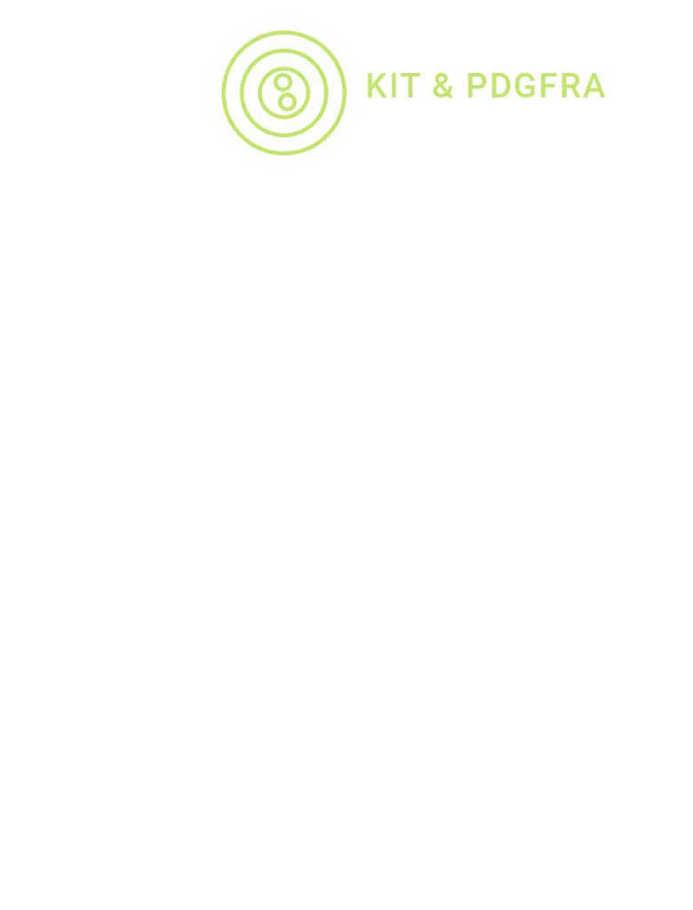 Kinome graphic