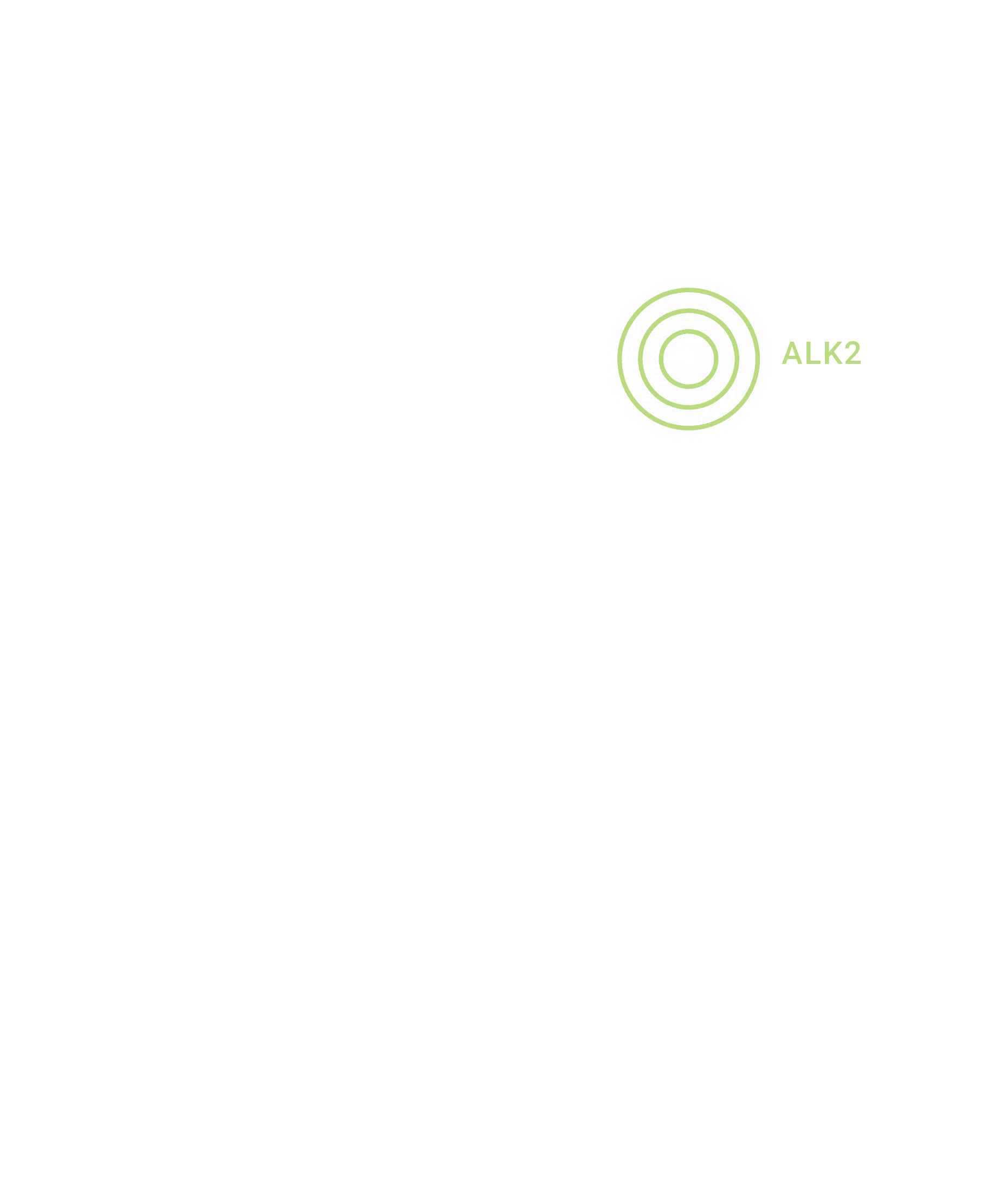 Kinome graphic