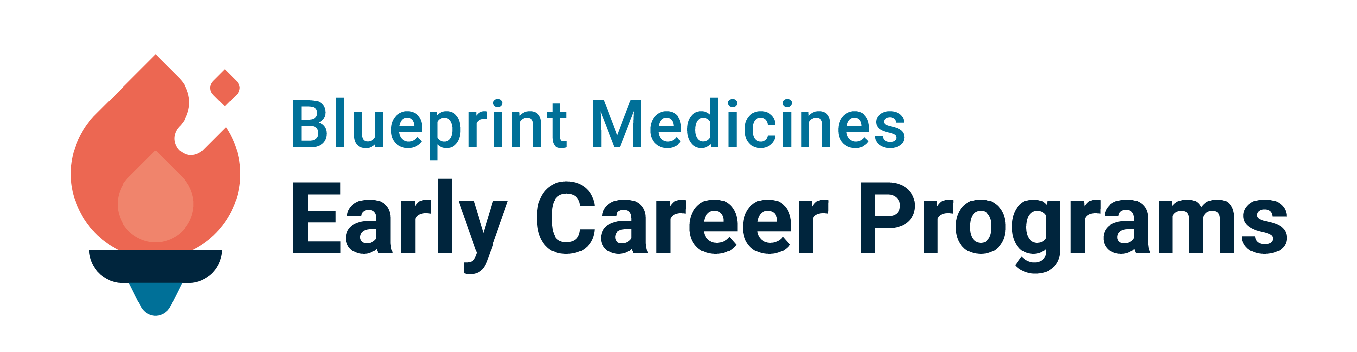 Early careers program logo